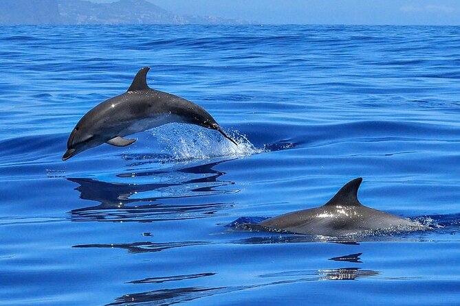 Escursione a Tenerife